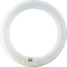 TUBO  FLUORESCE  CIRCULAR  T9