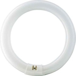 TUBO  FLUORESCE  CIRCULAR  T9