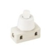INTERRUPTOR  A  PULSADOR  2A  250V