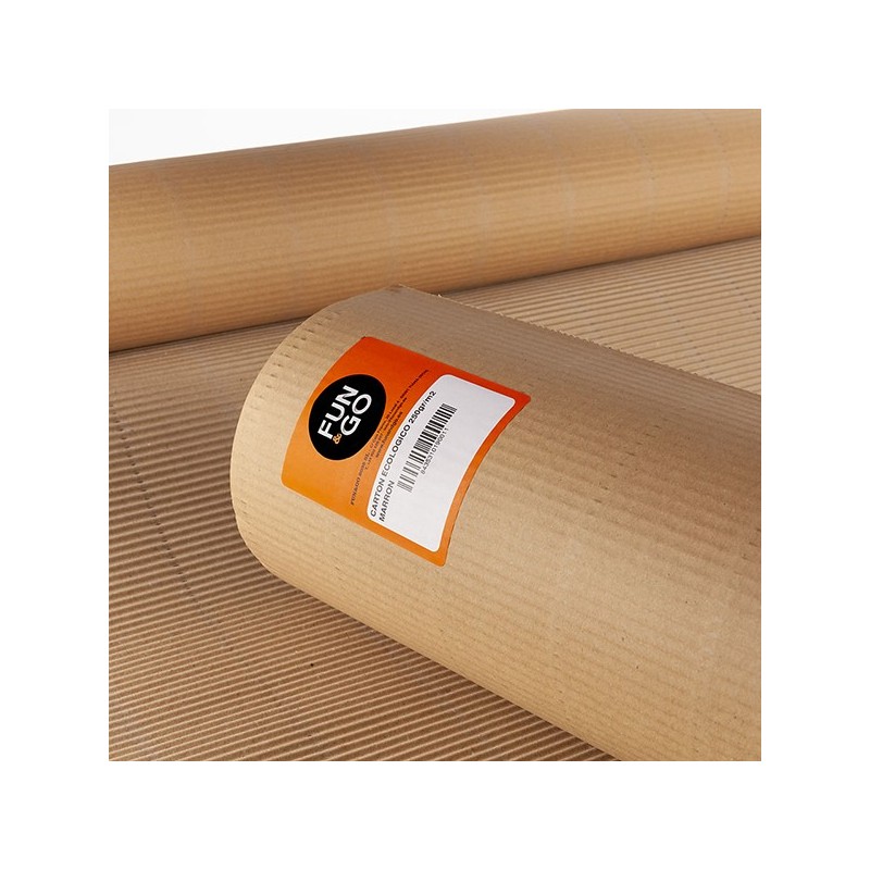 CARTON  ECOLOGICO