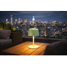 LAMPARA LED DEDALO 30K VERDE