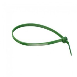 BRIDA  NYLON  VERDE  C/100