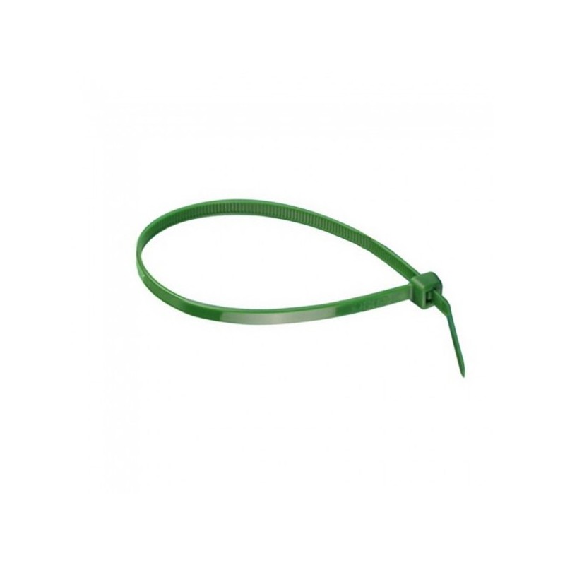 BRIDA  NYLON  VERDE  C/100