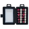 ESTUCHE  12  FRESAS