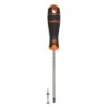 DESTORNILLADOR  TORX  INVIOLABLE