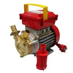 BOMBAS  BEM20  ROVER  POMPE