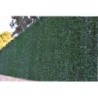 SETO  ARTIFICIAL  BICOLOR  H.FINA