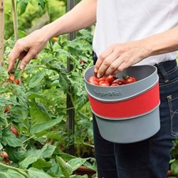RECOGE  FRUTAS  BELLOTA