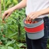 RECOGE  FRUTAS  BELLOTA