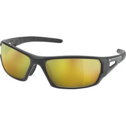 GAFAS  DE  POLICARBONATO  RIMFIMI  DELTA  PLUS
